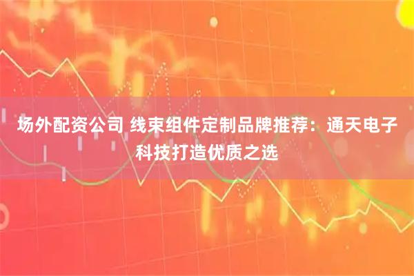 场外配资公司 线束组件定制品牌推荐：通天电子科技打造优质之选